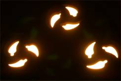 3 Gunas