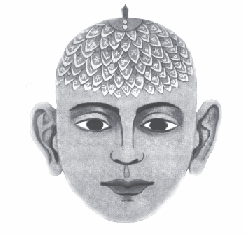 Sahasrara Chakra