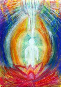 Bodies of Light
