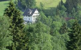 The Paracelsus Center